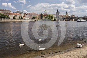 Charles bridge and old town in Prague