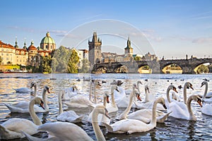 Charles Bridge and old town in Prague, Czech Republic.