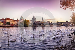 The Charles Bridge over the Vlatava River in Prague, Czech Republic