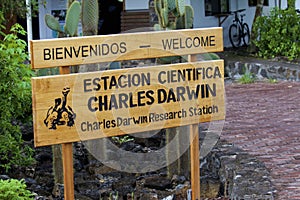 Charles Darwin Research Station   833392 photo