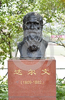 Charles Darwin Statue