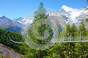Charles Kuonen suspension bridge in Swiss Alps. With 494 metres, it is the longest suspension bridge in the world. Valais,