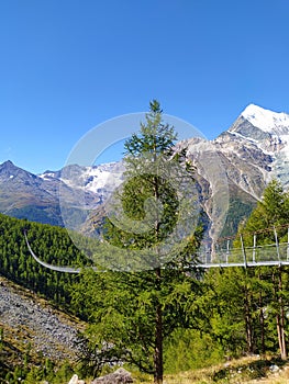 Charles Kuonen suspension bridge in Swiss Alps. With 494 metres, it is the longest suspension bridge in the world. Valais,