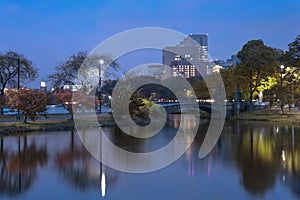 Charles river Boston on an Autumn Afternoon