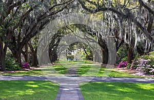 Charles Towne Landing South Carolina Historic Site