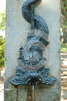 Charleston Architecture