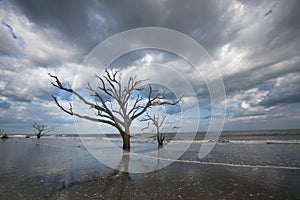 Charleston Boneyard Beach Botany Bay Edisto SC