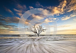 Charleston SC Botany Bay Edisto Island Carolinas