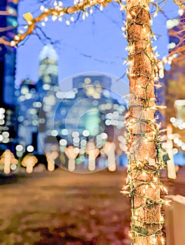 Charlotte nc early morning decorated with holiday lights