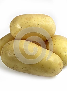 CHARLOTTE POTATO solanum tuberosum AGAINST WHITE BACKGROUND