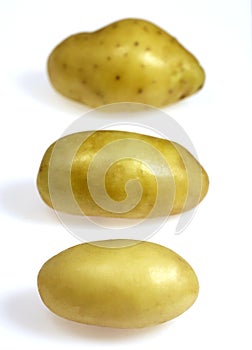 CHARLOTTE POTATO solanum tuberosum AGAINST WHITE BACKGROUND