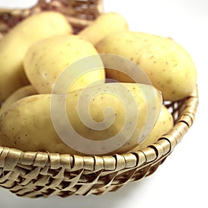 Charlotte Potato, solanum tuberosum, Vegetable against White Background