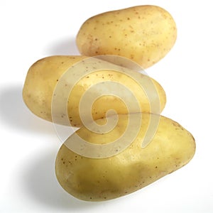 Charlotte Potato, solanum tuberosum, Vegetable against White Background