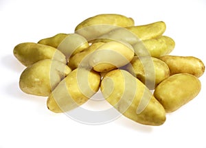 Charlotte Potato, solanum tuberosum, Vegetable against White Background