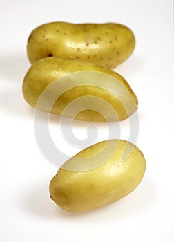 Charlotte Potato, solanum tuberosum, Vegetable against White Background