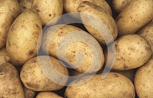 Charlotte potatoes background