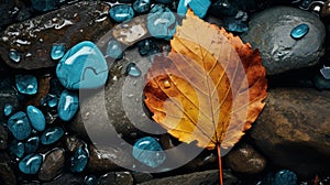 Charm Autumn: A Modern Photography With Yellow Leaf, Water Drops, And Blue Stones photo