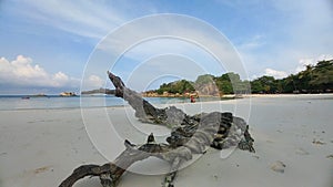 The charm of Tanjung Tinggi Beach, Belitung Island photo