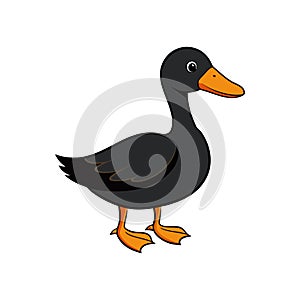 Charming African Black Duck Art Design