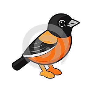 Charming Baltimore Oriole Bird Illustration