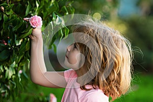 Charming blond child on background of flowers in summer. Dreamy kids face. Daydreamer child portrait close up. Dreams