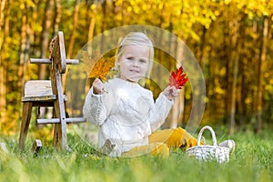 Charming blonde girl in the autumn forest.