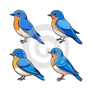 Charming Bluebird Coloring Page photo