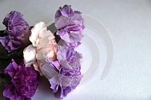 Charming bouquet of multi colored carnations in lilac tones on a gray background