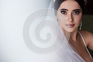 Charming bride with veil and makeup looking at camera. Close-up portrait of a beautiful brunette bride. Wedding concept, space for