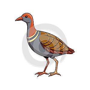 Charming Buff-Banded Rail Bird Design