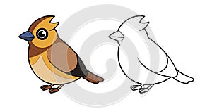 Charming Cedar Waxwing Bird Artwork