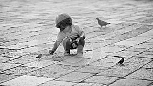 Charming child. Baby boy feeding birds