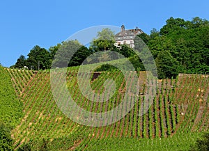 A Charming Cottage High Above A Vineyard In Bernkastel-Kues Germany On A Beautiful Sunny Summer Day