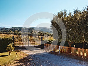 Charming countryside gate with vineyard view under a sunny sky photo