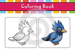 Charming Curl-crested Jay Bird Design