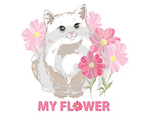 A charming cute white kitty with big eyes stands in pink flowers on a white