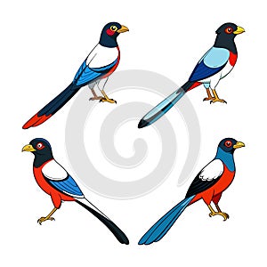Charming Elegant Trogon Artwork