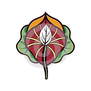 Charming Elephants Ear Design photo