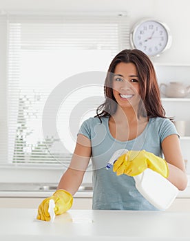 Charming female doing the housework