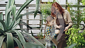 Charming female garderner and her little daughter are using tablet while working in greenhouse together. Modern