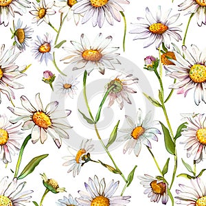 A charming floral design. daisies with sunny yellow centers create a seamless and cheerful pattern on a white background. for