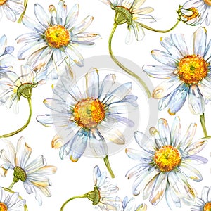 A charming floral design. daisies with sunny yellow centers create a seamless and cheerful pattern on a white background. for