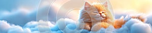 Charming Fluffy Kitten Resting on Soft Cloud with Warm Light