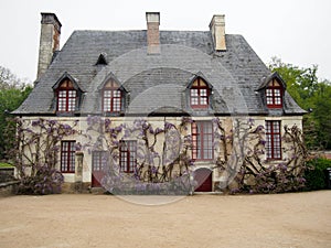 Charming French Cottage Covered in Wisteria