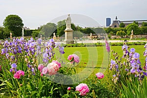 The charming garden in Jardin des Tuileries in Paris photo