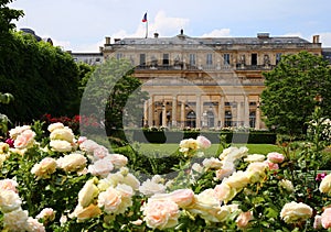 The charming garden in Palais-Royal Gardens in Paris