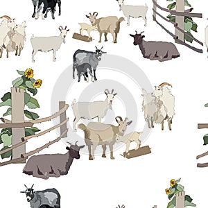 Charming goats with a sunflower. White background. Textile composition.