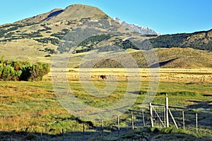 Charming green valley in Perrito Moreno's photo