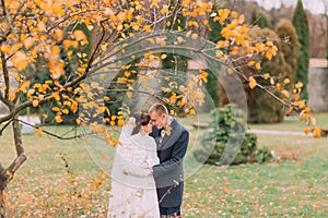 Charming just married couple embracing in the beautiful autumn park under tree with yellow leaves