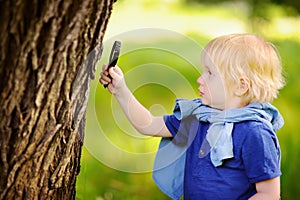 Charming kid exploring nature with magnifying glass